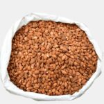 Raw Almond Kernels 10 kg Pack