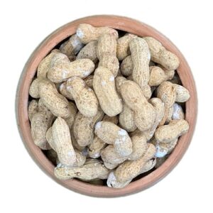 Salted Roasted In-Shell Peanuts