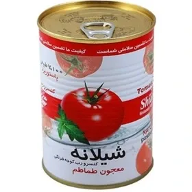 Wholesale and export of canned tomato paste 380 grams with Easy Open door