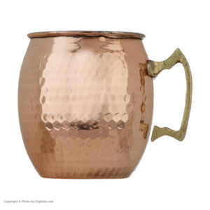 Copper Mug with Brass Handle