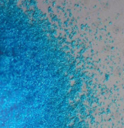 Copper Sulfate