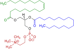 لسیتین – Lecithin